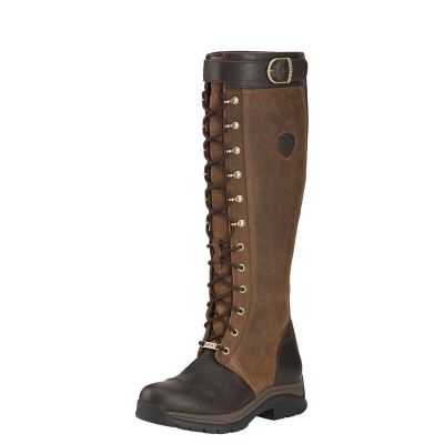 Ariat Berwick Gore-Tex - Lange Laarzen Bruin / Chocola Dames - 39611-676